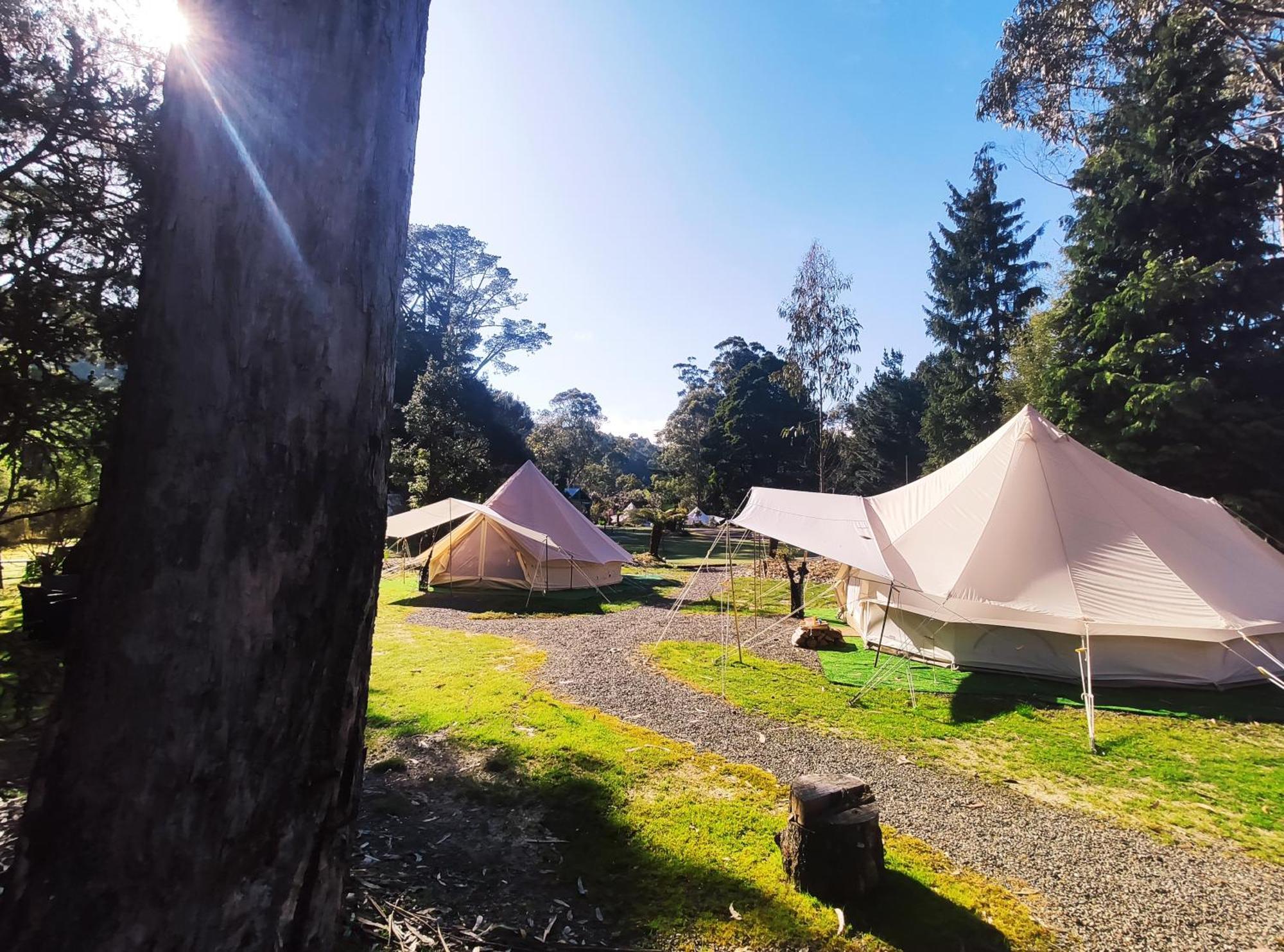 Glamping At Zeehan Bush Camp Exterior photo