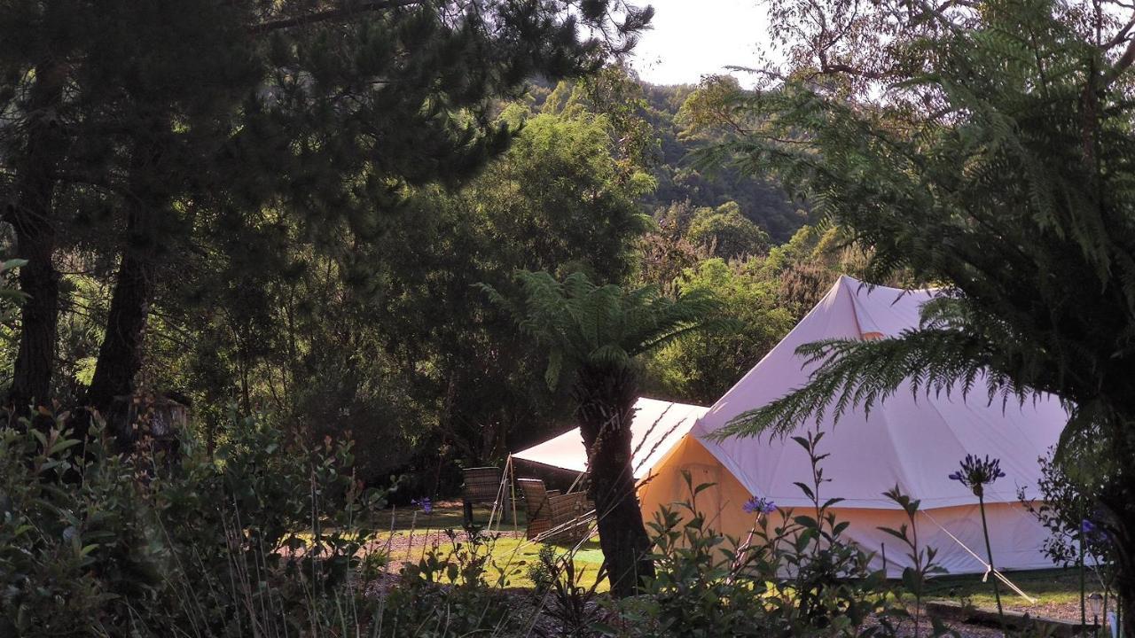 Glamping At Zeehan Bush Camp Exterior photo